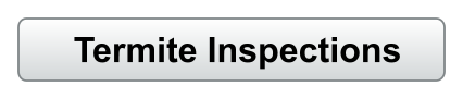 Termite Inspections