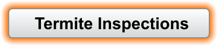 Termite Inspections